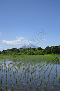 日本木冈伊瓦特山和牧区地图片