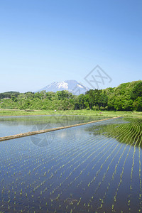 日本木冈伊瓦特山和牧区地图片