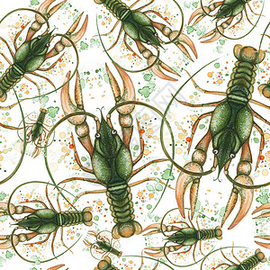 小龙虾绿色详细插图特写白色背景的无缝图案的水彩图案图片