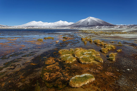 阿根廷和智利边界上的绿湖拉背景图片