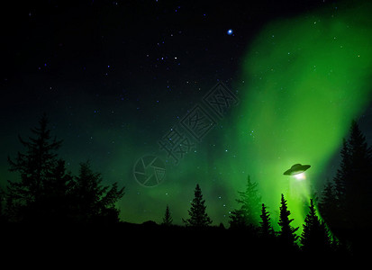 不明飞行物在夜间与树木和星一起背景图片