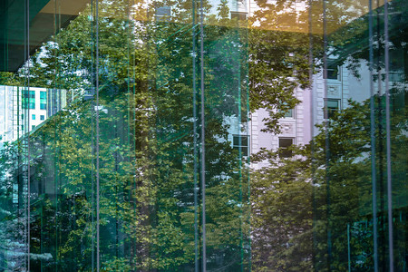 盐湖城圣殿广场的玻璃窗图片