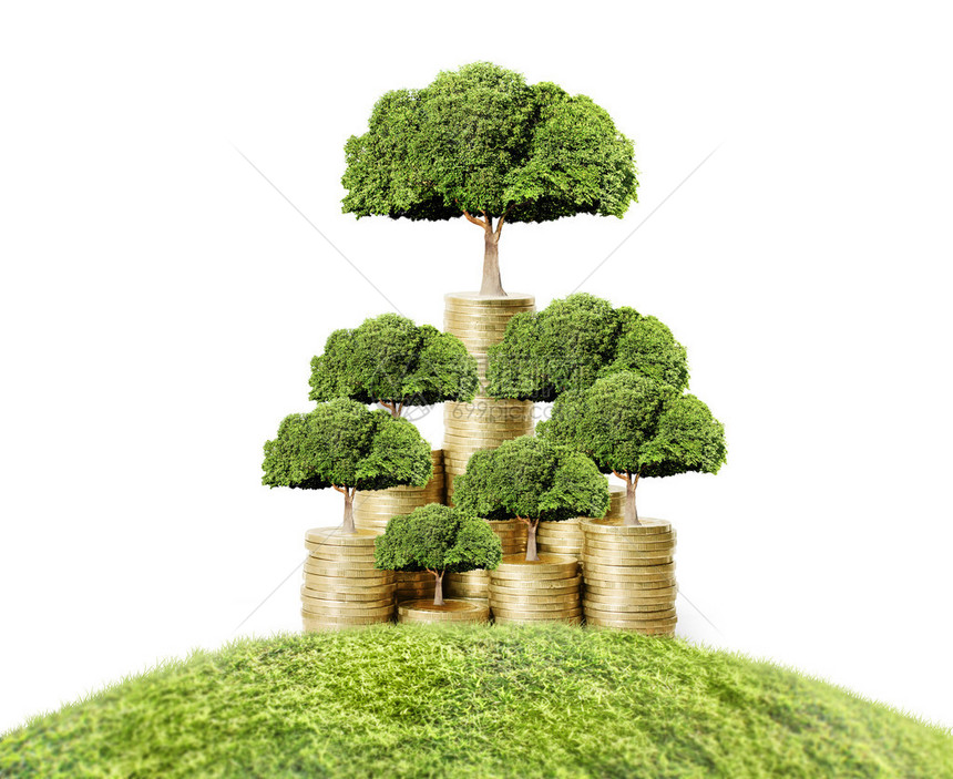 金钱树从金钱中生长的概念图片