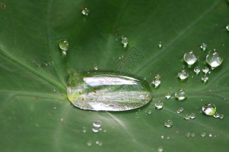 秋天的雨季塔罗背景图片