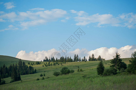 美丽的自然风景绿色草地和山脉蓝图片