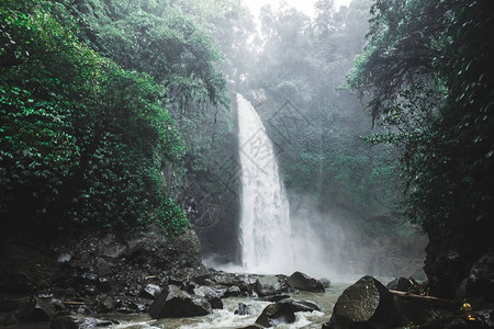 位于深丛林中的巴厘岛瀑布Nun图片