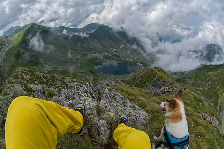 坐在草地上与狗同坐的登山者自画像图片