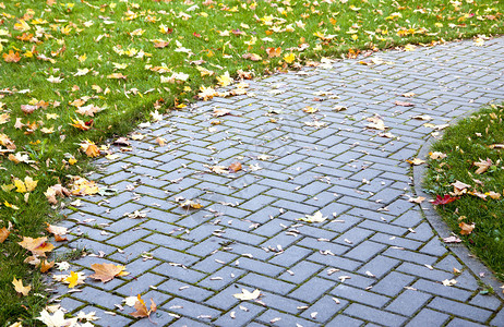 秋天被黄叶覆盖的人行道和绿草的细节图片