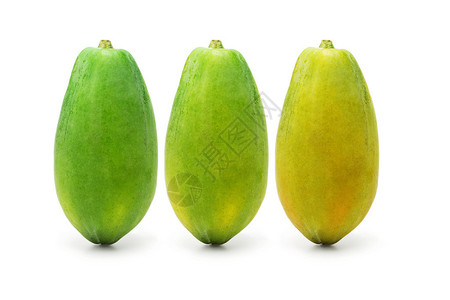 三种成熟的木瓜水图片