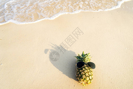 海滩上的海马菠萝夏天的标志时尚图片