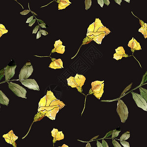 水彩相思叶植物园花卉叶子无缝背景图案织物壁纸打印纹理背景纹理包装图图片