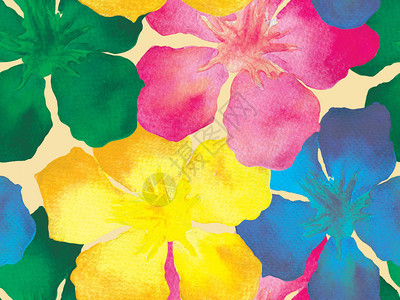 夏威夷水彩图案彩虹花卉热带无缝打印夏威夷的芙蓉和夹竹桃Aloha泳装设计异国情调的花束时尚插画背景图片