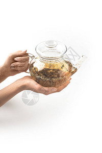 持有玻璃茶壶和白上有机草药茶图片