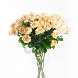 白色背景上的黄色花园玫瑰花束背景图片