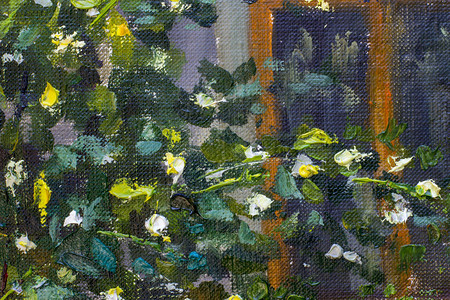 绘画的纹理碎片绿色灌木和白色黄花朵油画布上背景图片