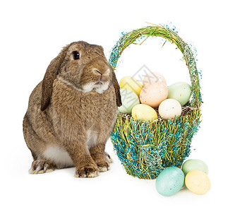 一只兔子坐在复活节篮子旁边图片