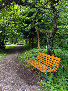 公园里多节的绿树下的长木凳这张照片是在斯洛伐克马丁地区的TurcianskaStiavnicka背景图片