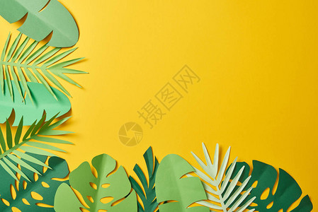 黄背景上绿色棕榈叶的纸剪绿视图背景图片