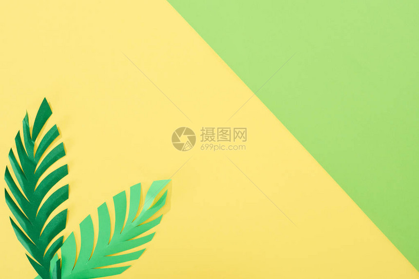黄色和绿色光背景及复制空间上的纸切棕榈图片