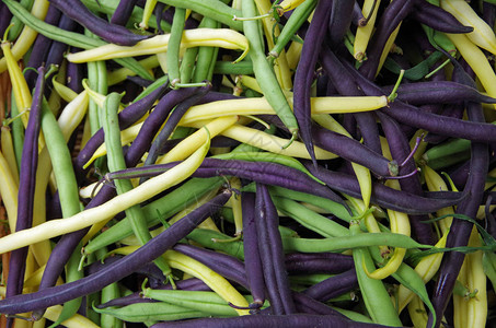 从上面看混合黄紫绿生四季豆堆图片