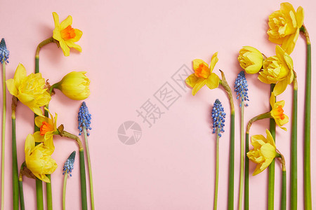 粉红色背景上美丽的蓝色青绿和黄色花朵及复图片