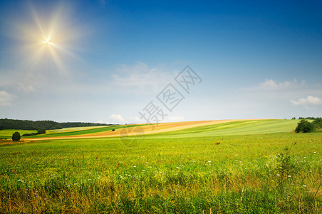 清凉的夏日草原图片