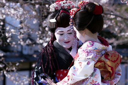 在日本京都樱花的背景下图片
