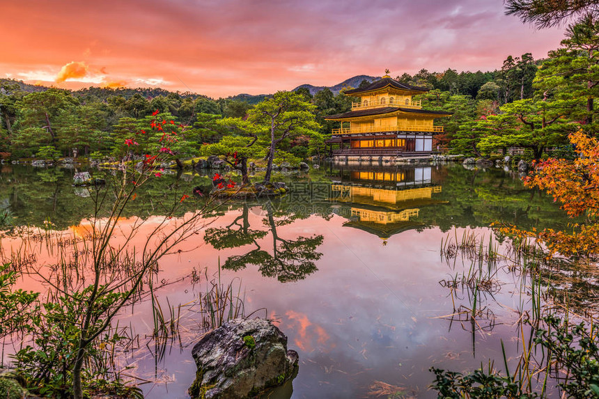 日本京都的金阁寺图片