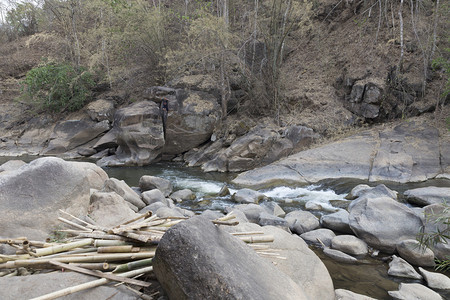 流过森林小溪中石头的水流图片