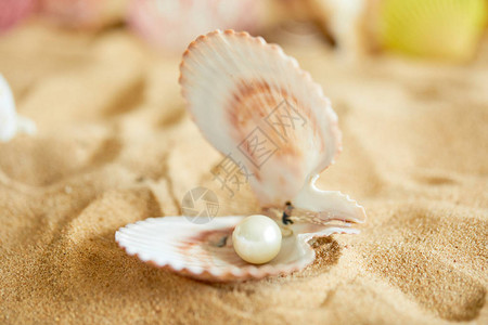 在沙滩上以珍珠为图片