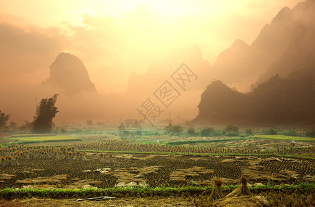 越南境图片