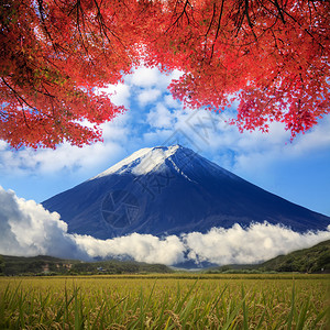 Fuji山的图像图片