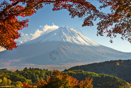 富士山与秋天背景图片