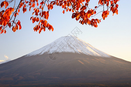 富士山与日本的秋天颜色背景图片