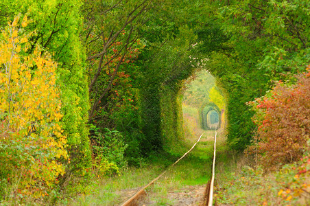 爱的自然隧道由罗马尼图片