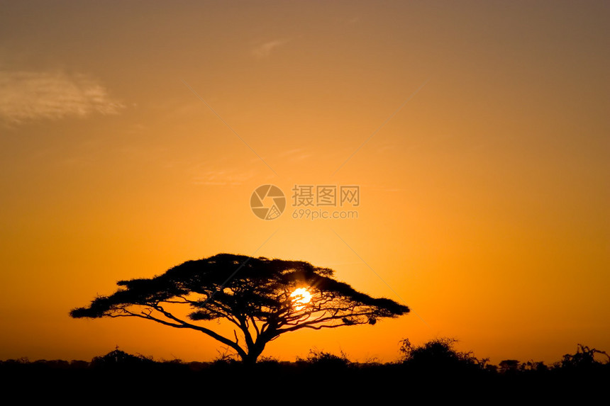 美丽的非洲日出图片