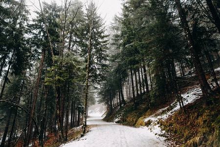 在美丽的冬季山中空旷的山路和图片