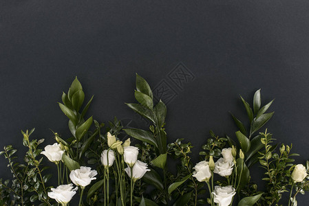 黑色下洋桔梗花和树枝的顶视图背景图片