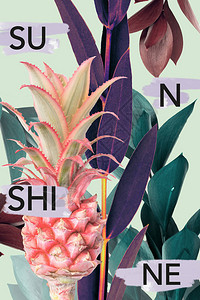 与菠萝树叶和SUNSHINE标志图片素材