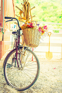 在篮子里放花的旧式自行车背景图片