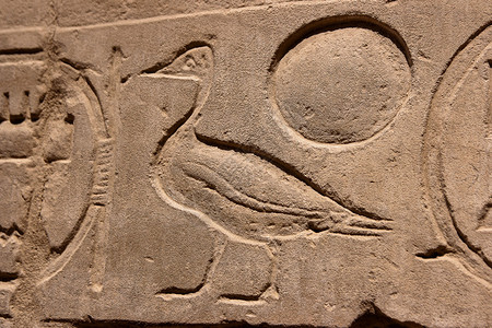 埃及象形文字鸟图片