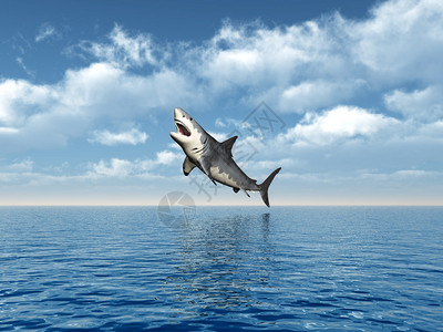大白鲨计算机生成的3D插图设计图片