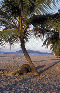 特拉维苏拉加勒比海靠近高清图片