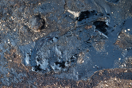 原油污染环境图片