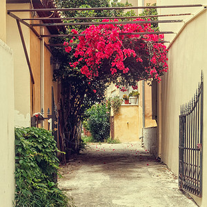 希腊小镇的复古街道图片