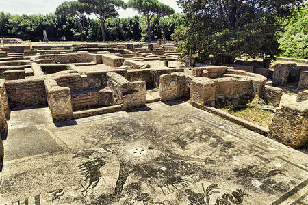 Cisiarii罗马帝国温泉浴场冷库奥斯蒂亚安蒂卡景观罗马背景图片