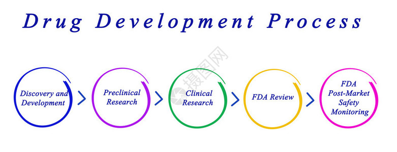 药物开发流程示意图图片