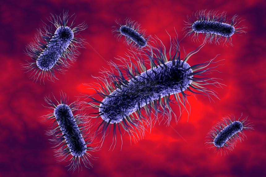 大肠杆菌沙门氏菌彩色肠道细菌的显微镜观察引起腹泻的细菌模型微生物图解微生图片