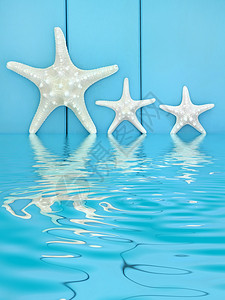 木制蓝色背景上的海星贝壳与水中倒影背景图片