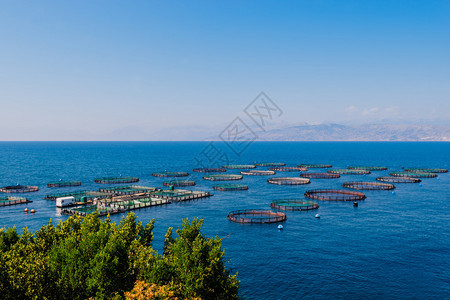 在海中养鱼希腊科孚岛背景图片